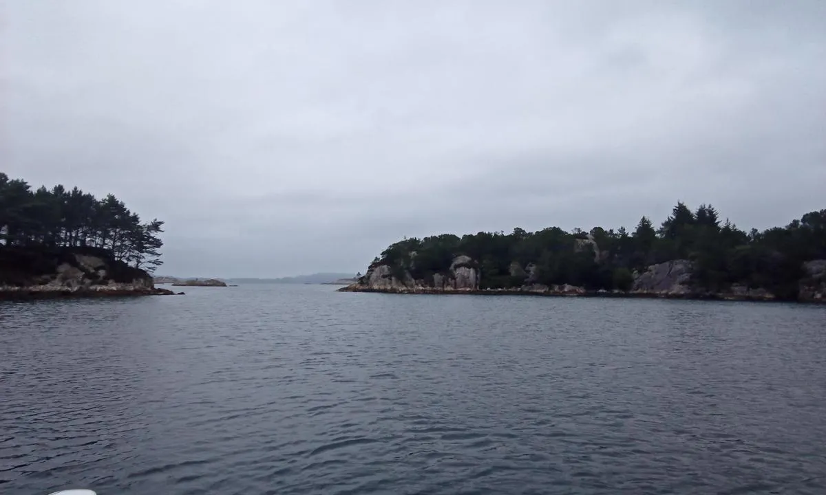 Kobbavika