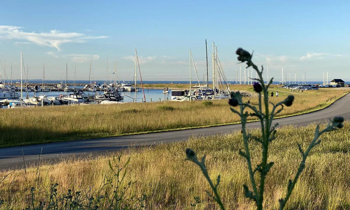 Køge Marina