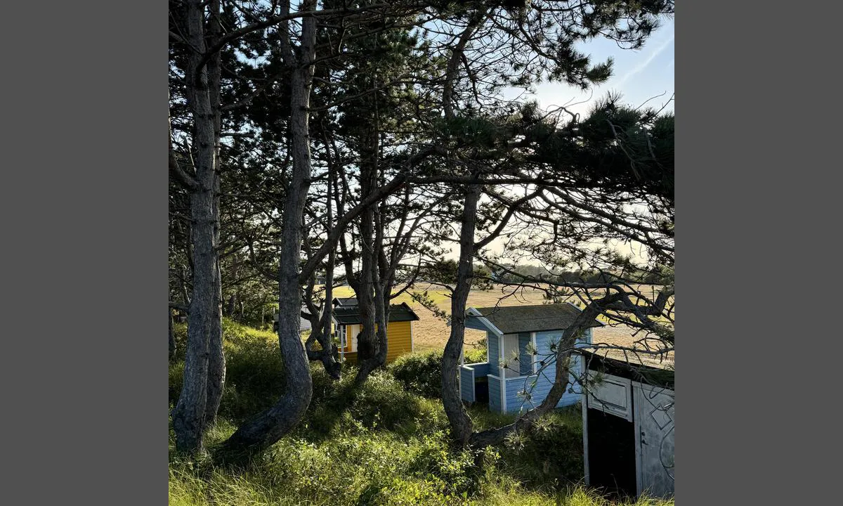Kolabacken: {"base": "en", "no": "Det finnes en butikk omtrent 6 minutter til fots fra stranden", "se": "Det finns en butik cirka 6 minuter till fots fr\u00e5n stranden", "en": "There is a shop about 6 min by foot from the beach", "da": "Der er en butik ca. 6 min til fods fra stranden."}