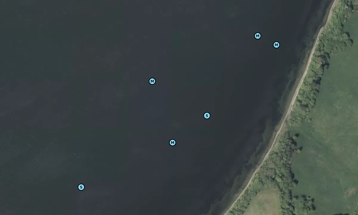 Satelite image of Kolding Fjord