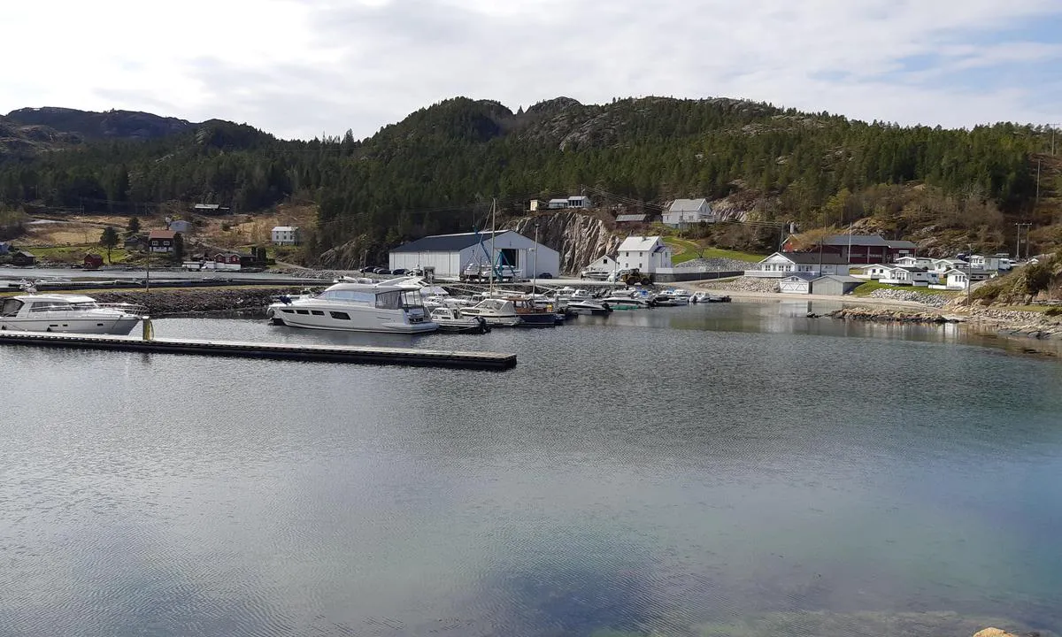 Kongensvoll Marina: Bryggen nærmest er gjestebrygge med strøm og vann.
Relativt ny brygge, stabil og fin.