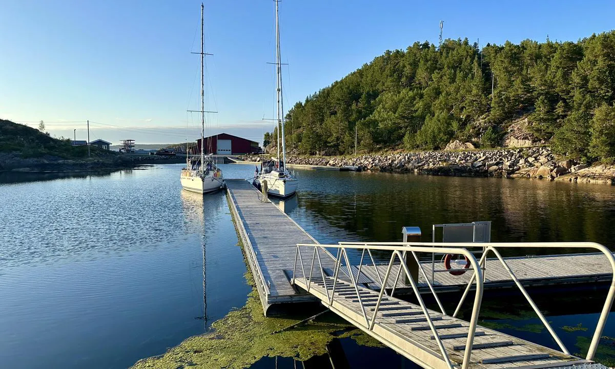 Kongensvoll Marina