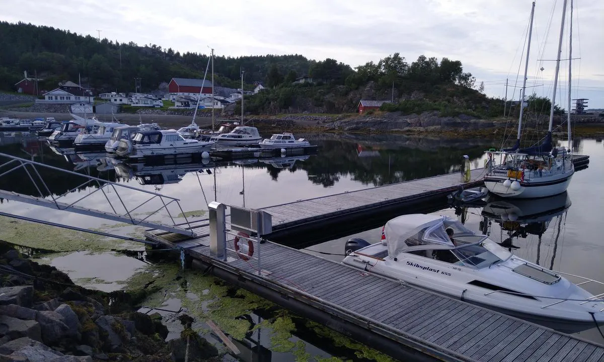 Kongensvoll Marina: Rolig og fin havn.
Gjestehavn ligger innenfor molo, bensin og diesel fylling rett utenfor.