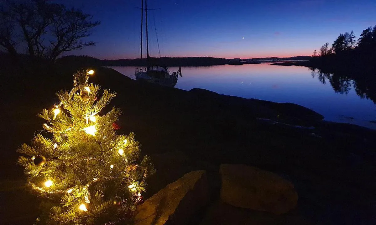 Korsholmen: Juletre tenning i desember 2021