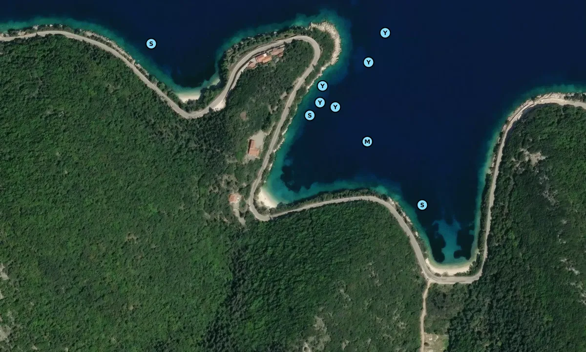 Satelite image of Kourvolia Beach