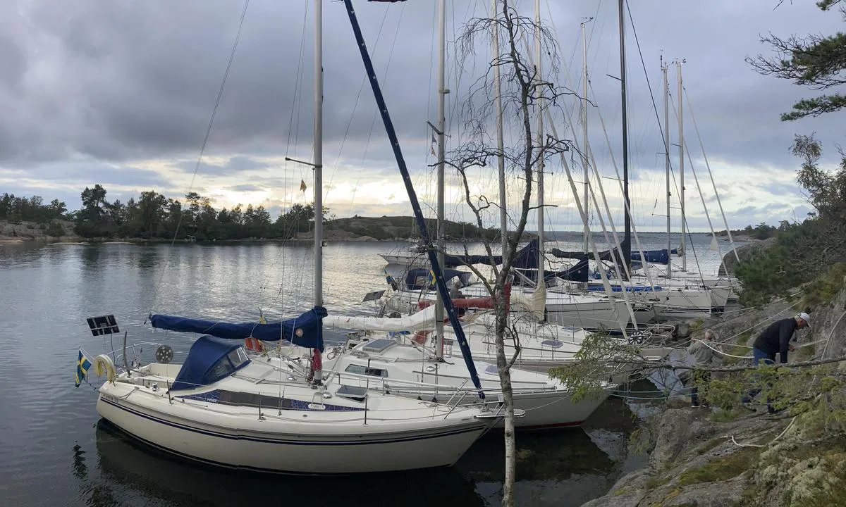 Koxviken - Biskopsön: {"base": "se", "no": "S\u00f8rlige side, mot fjellet", "se": "S\u00f6dra sidan, mot berget", "en": "Southern side, towards the mountain", "da": "Sydsiden, mod bjerget"}
