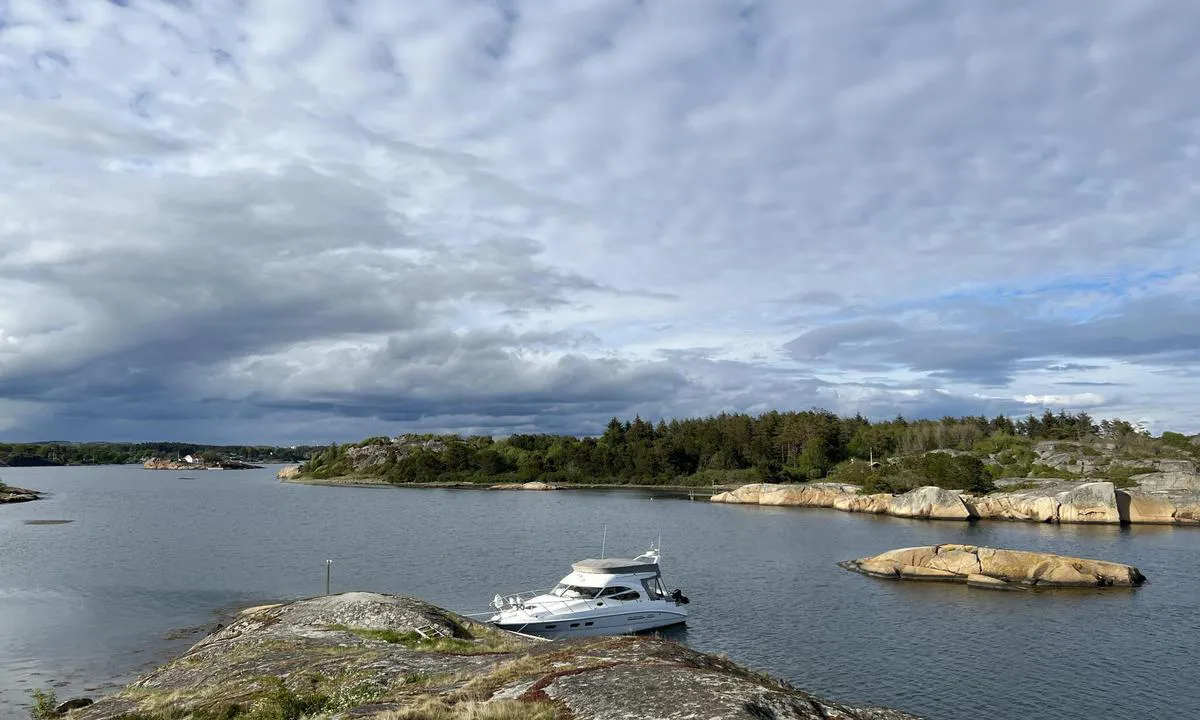 Kråkholmen nord: Utsikt mot nord.