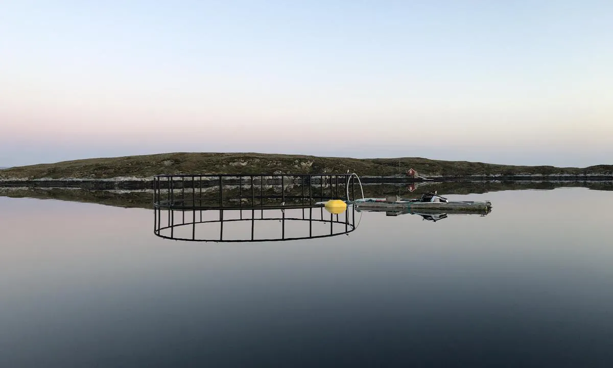 Kråkøybukta: {"base": "no", "no": "Ogs\u00e5 inne i bukta er det tydelig at det drives oppdrett. Festet i en solid b\u00f8ye er en flytebrygge og en merd. Antakelig godt hold i b\u00f8ya.", "se": "\u00c4ven inne i viken \u00e4r det tydligt att det bedrivs odling. F\u00e4st vid en solid boj \u00e4r en flytbrygga och en kasse. Antagligen bra h\u00e5ll i bojen.", "en": "Also inside the bay, it is clear that aquaculture is being conducted. Attached to a solid buoy is a floating dock and a fish pen. Presumably, the buoy has a strong hold.", "da": "Ogs\u00e5 inde i bugten er det tydeligt, at der drives opdr\u00e6t. Fastgjort til en solid b\u00f8je er en flydebro og en m\u00e6rd. Formodentlig godt hold i b\u00f8jen."}