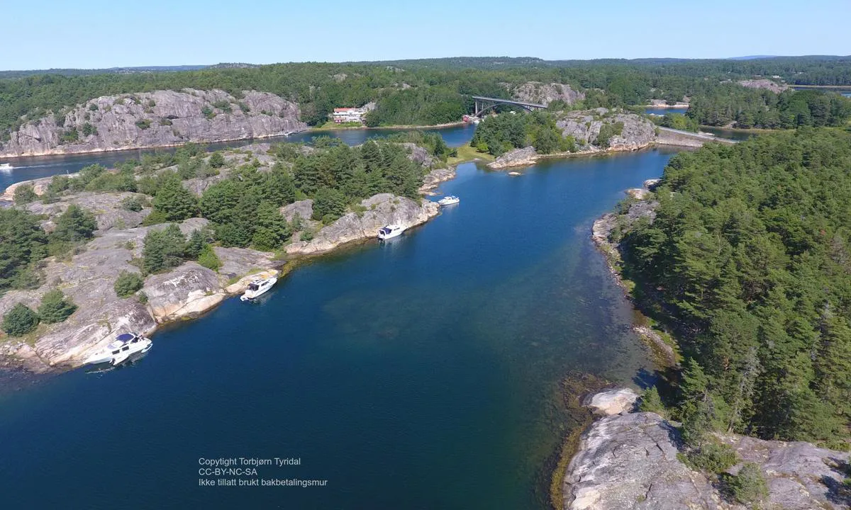 Kranseholmen - Tjärnö