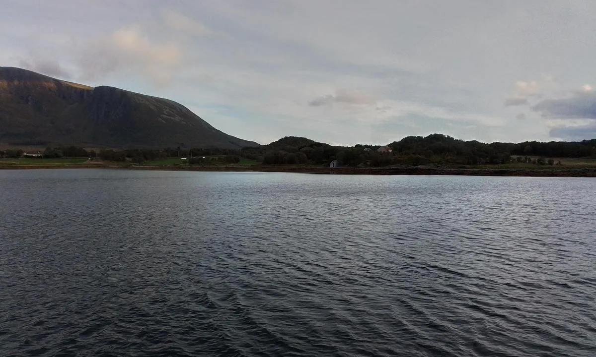 Kringelbukta