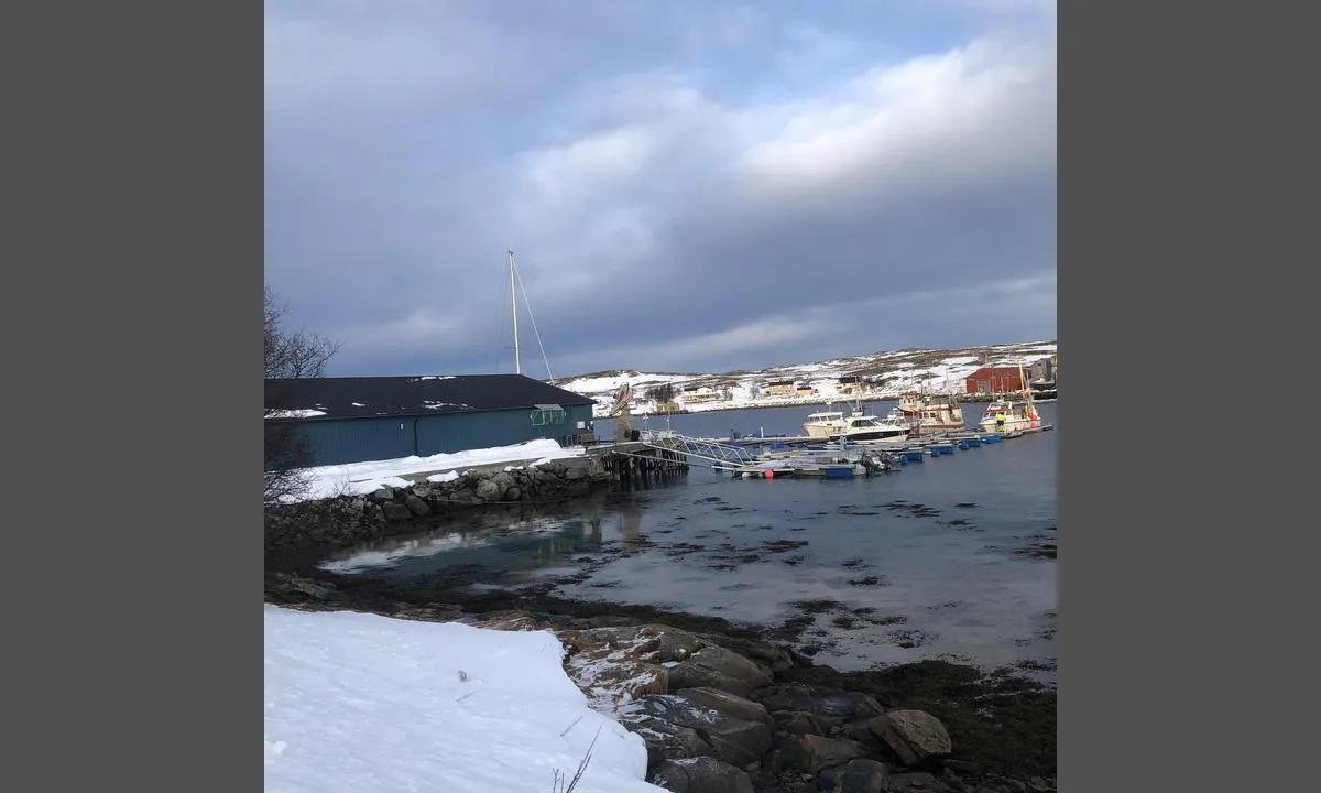 Kristoffervalen: {"base": "no", "no": "Dette er en lukket havn. 5 m dybde 2 gjesteplasser p\u00e5 endene av flytebrygga.", "se": "Detta \u00e4r en st\u00e4ngd hamn. 5 m djup, 2 g\u00e4stplatser vid \u00e4ndarna av flytbryggan.", "en": "This is a closed harbor. 5 m depth. 2 guest berths at the ends of the floating dock.", "da": "Dette er en lukket havn. 5 m dybde 2 g\u00e6stepladser p\u00e5 enderne af flydebroen."}