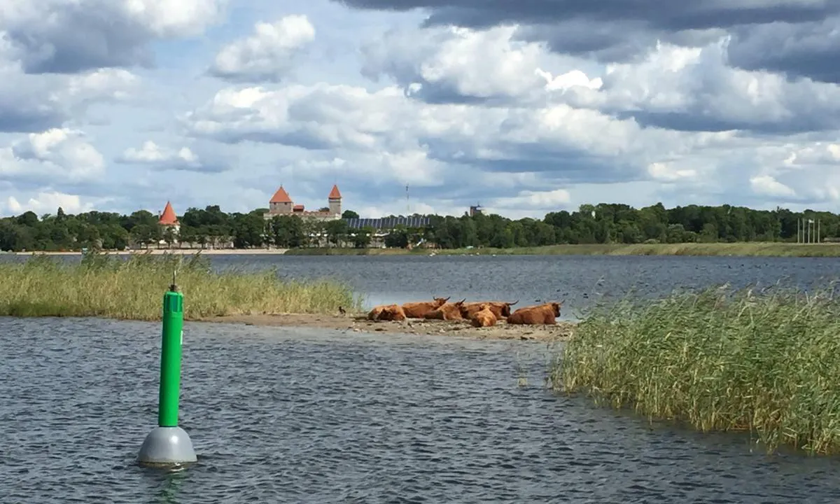 Kuressaare Jahisadam: {"base": "en", "no": "lang innseiling hold deg unna kyrne ;-)", "se": "l\u00e5ng ing\u00e5ng h\u00e5ll undan fr\u00e5n kossorna ;-)", "en": "long entrance keep away from the cows ;-)", "da": "lang indsejling hold dig v\u00e6k fra k\u00f8erne ;-)"}