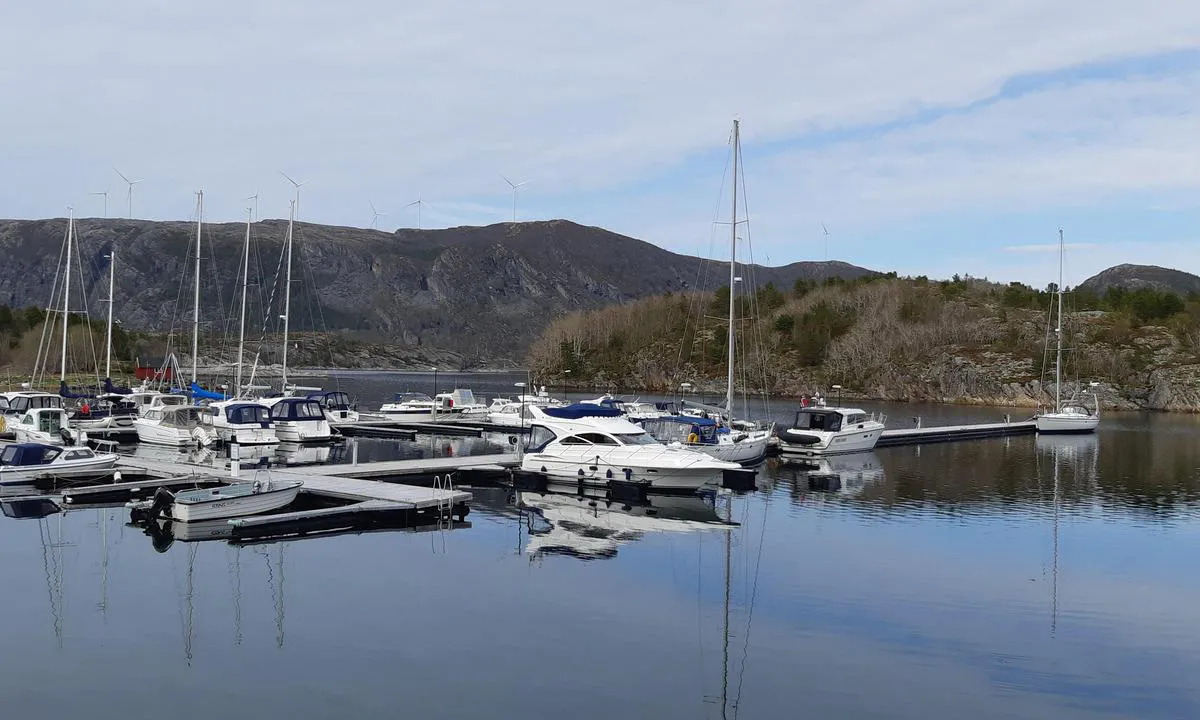 Kuringvågen med gjestebrygga til høgre.