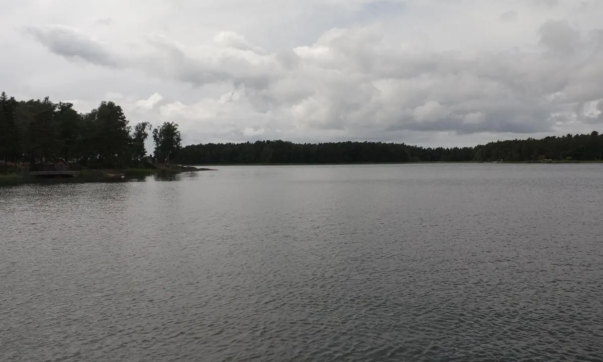 Kustavi