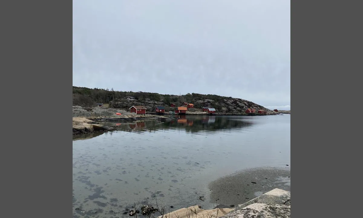 Kuvauen: {"base": "no", "no": "Sett fra stranda.", "se": "Sedd fr\u00e5n stranden.", "en": "Seen from the shore.", "da": "Set fra stranden."}
