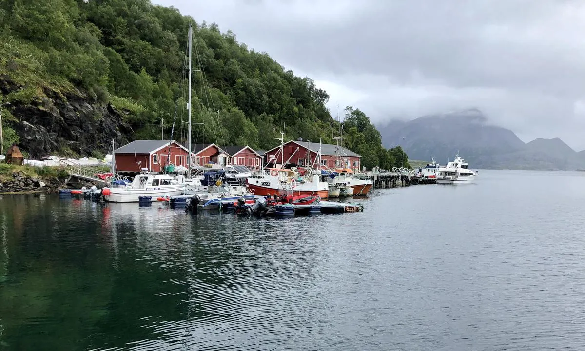 Kvalfjord: Gjestehavnen ligger ved kommunal flytebrygge på østsiden av ekspedisjonskai og butikk