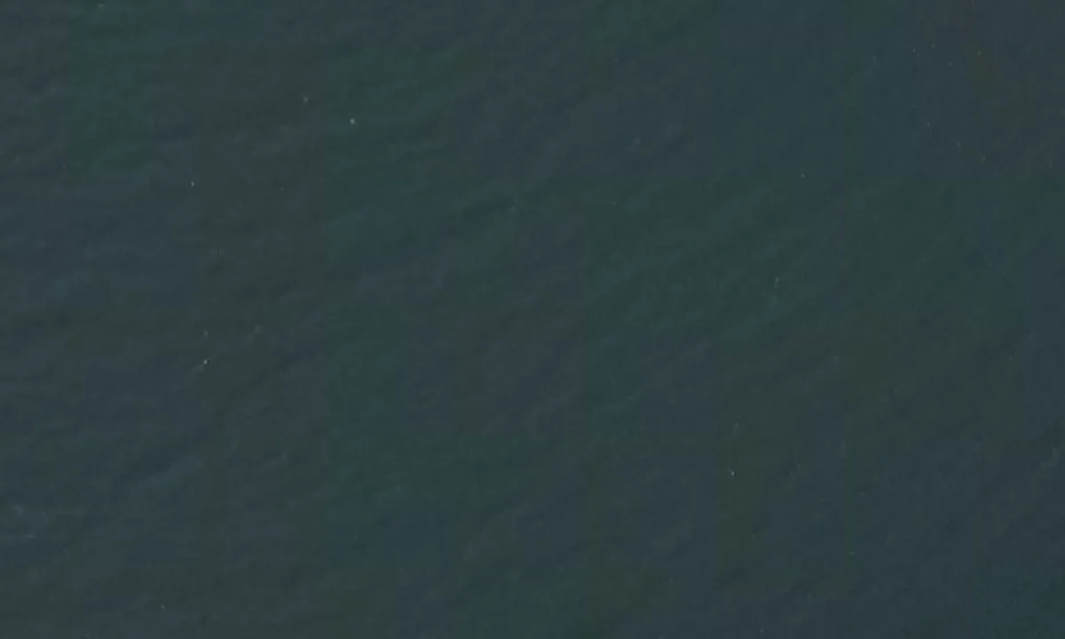 Flyfoto av Kvalrossbukta - Jan Mayen