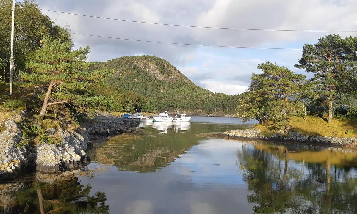 Kvalstad - Svanøy: {"base": "no", "no": "Idylliske omgivelser.", "se": "Idylliska omgivningar.", "en": "Idyllic surroundings.", "da": "Idylliske omgivelser."}