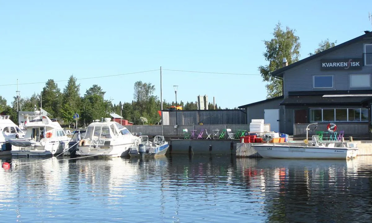 Kvarkenfisk, Rovögerns fiskehamn