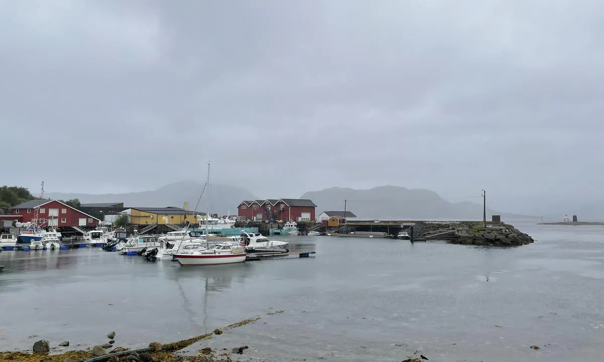 Kvarøy Marina: Loongside-plasser og en bås ytterst er gjesteplasser