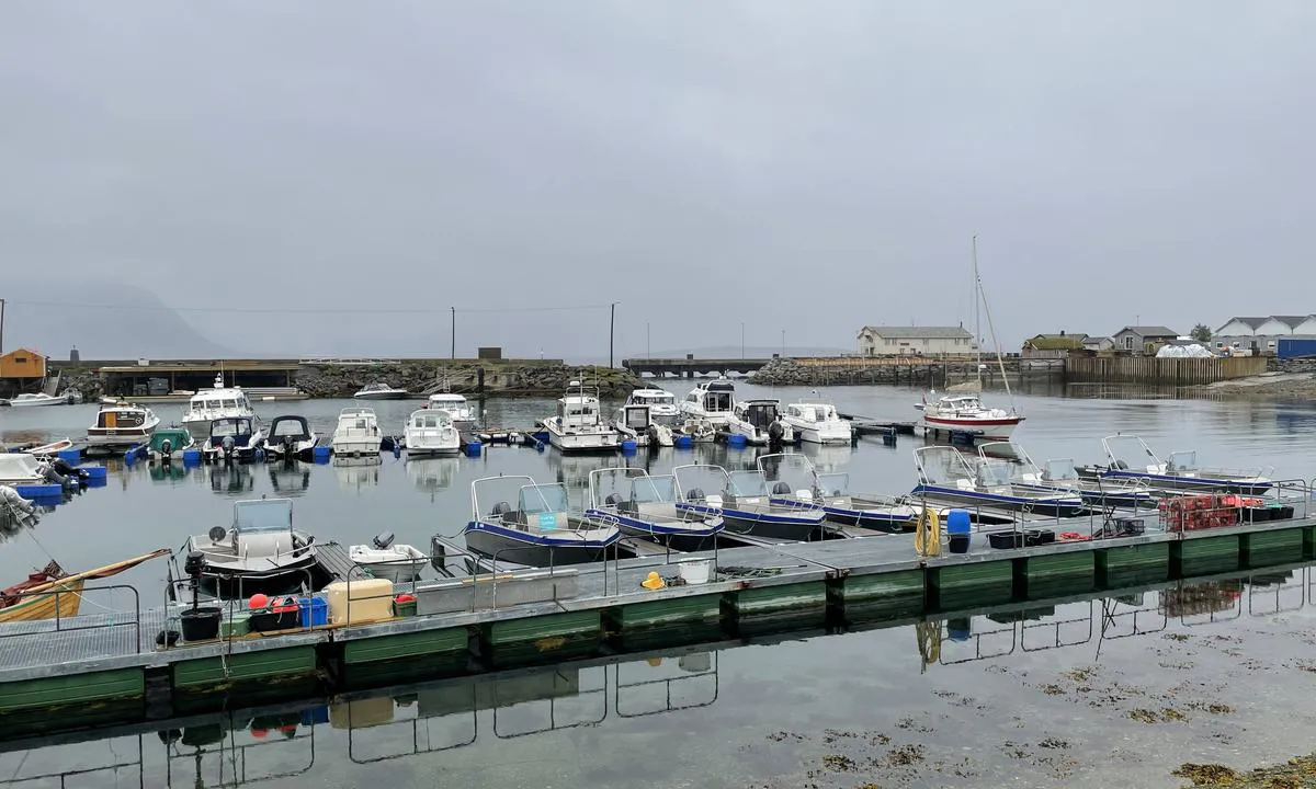 Kvarøy Marina