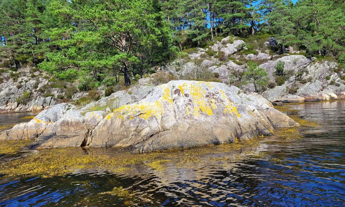 Kviteklubben, Søre Dåfjorden: {"base": "no", "no": "Fort\u00f8yningsbolt", "se": "F\u00f6rt\u00f6jningsbult", "en": "Mooring bolt", "da": "Fort\u00f8jningsbolt"}