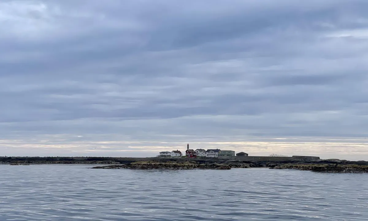 Kya: {"base": "no", "no": "H\u00f8yeste punkt p\u00e5 bakken er 6,5 moh", "se": "H\u00f6gsta punkten p\u00e5 marken \u00e4r 6,5 meter \u00f6ver havet", "en": "The highest point on the ground is 6.5 meters above sea level", "da": "H\u00f8jeste punkt p\u00e5 bakken er 6,5 moh"}
