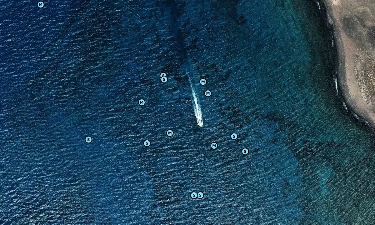 Satelite image of La Caleta