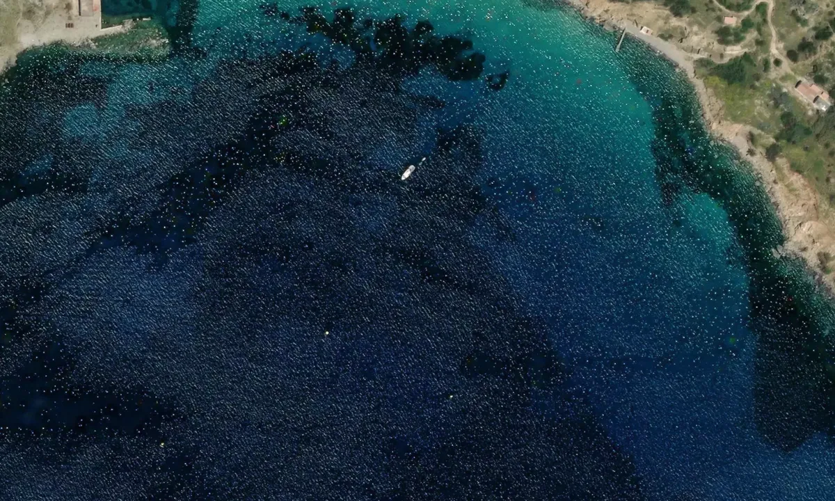 Satelite image of La Galite