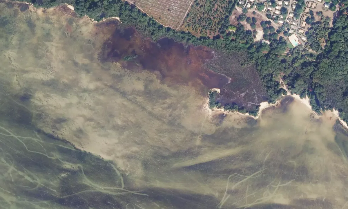 Satelite image of La plage des Aigrettes