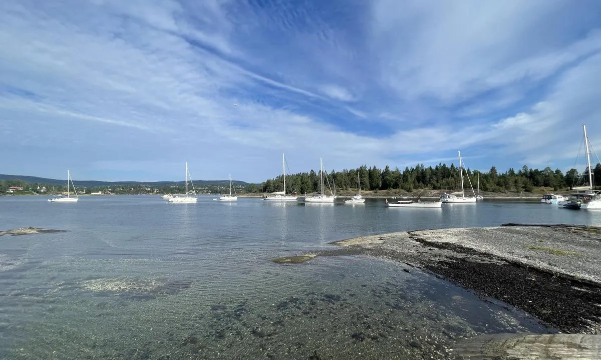 Labukta / Borøya: Innsiden av Ladbukta på siden mot Furuholmen (Tatt rett ved Furuholmen)