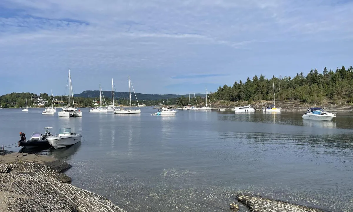 Labukta / Borøya: Innsiden av Ladbukta på siden mot Furuholmen