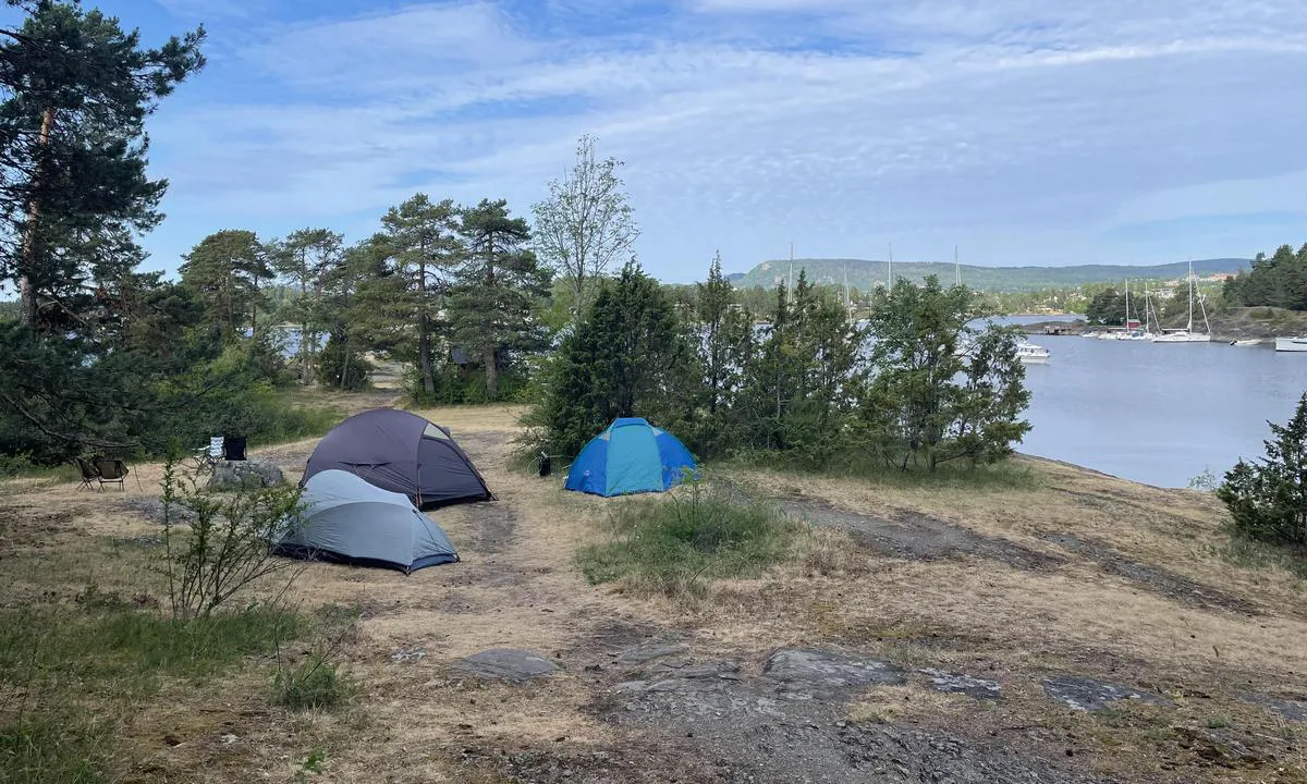 Labukta / Borøya: {"base": "no", "no": "Mange gode teltplasser", "se": "M\u00e5nga bra t\u00e4ltplatser", "en": "Many good tent sites", "da": "Mange gode teltpladser"}
