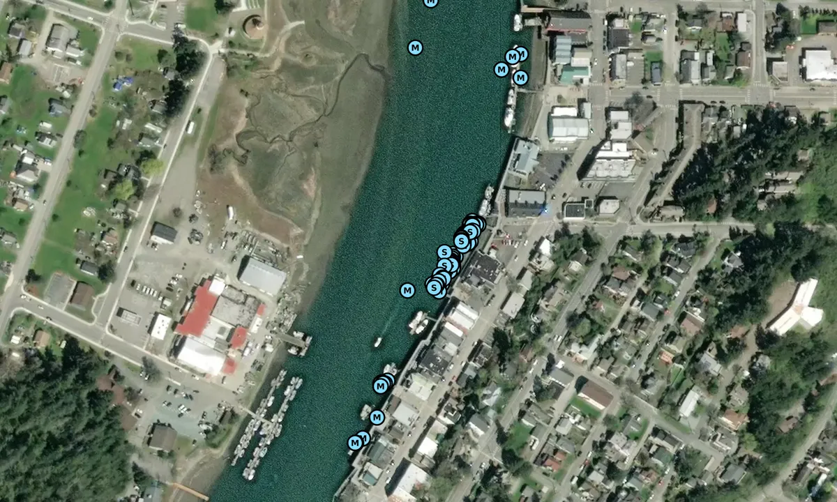 Satelite image of LaConner (Public Docks)