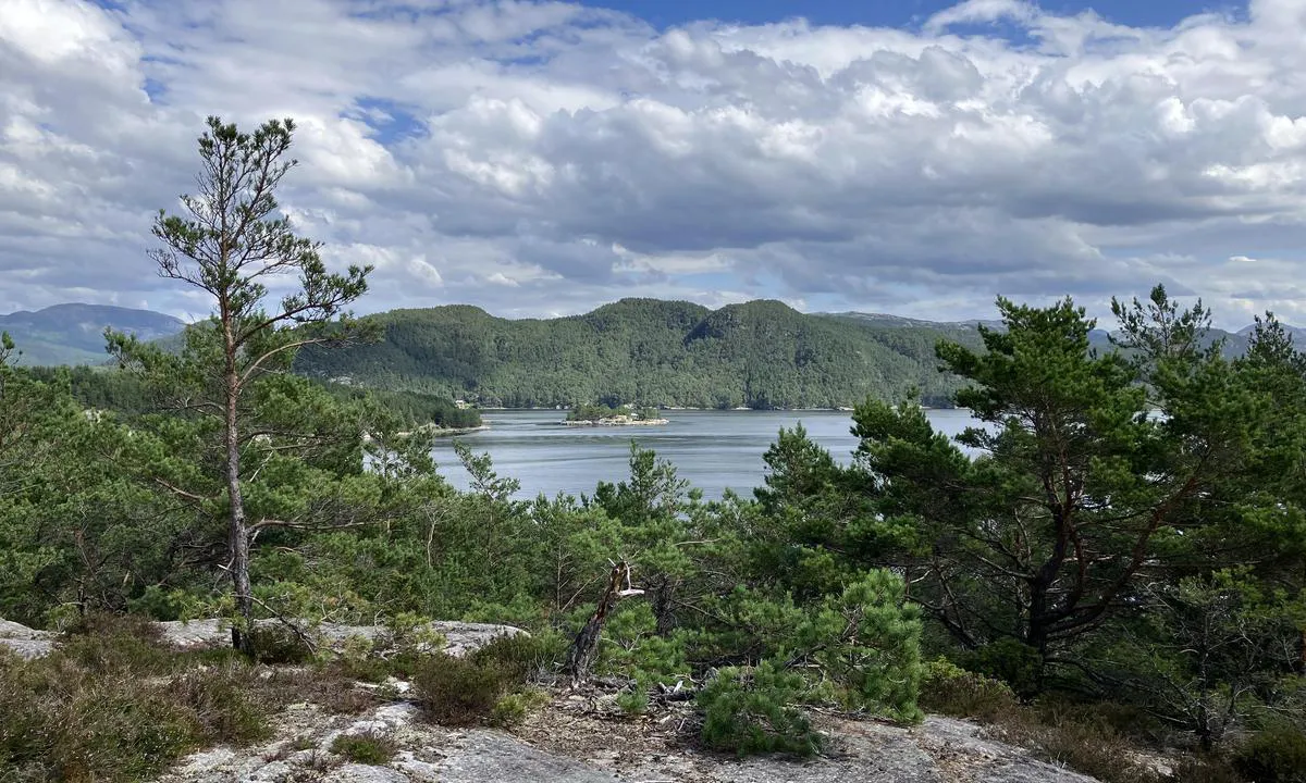 Låderviga: {"base": "no", "no": "Fra toppen.Ca 10 min gange fra bryggen.G\u00e5 forbi badeviken,og fin stien.Fin utsikt", "se": "Fr\u00e5n toppen. Ca 10 minuters promenad fr\u00e5n bryggan. G\u00e5 f\u00f6rbi badviken, och f\u00f6lj stigen. Fin utsikt", "en": "From the top. About a 10-minute walk from the pier. Walk past the bathing bay and find the path. Nice view.", "da": "Fra toppen. Ca. 10 minutters gang fra bryggen. G\u00e5 forbi badevigen, og find stien. Flot udsigt."}