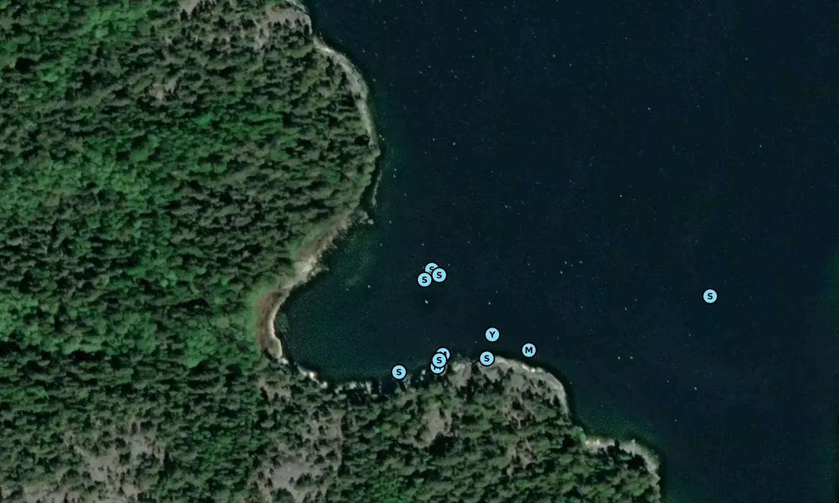 Satelite image of Ladviken