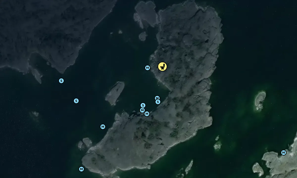 Satelite image of Låg Hallskär