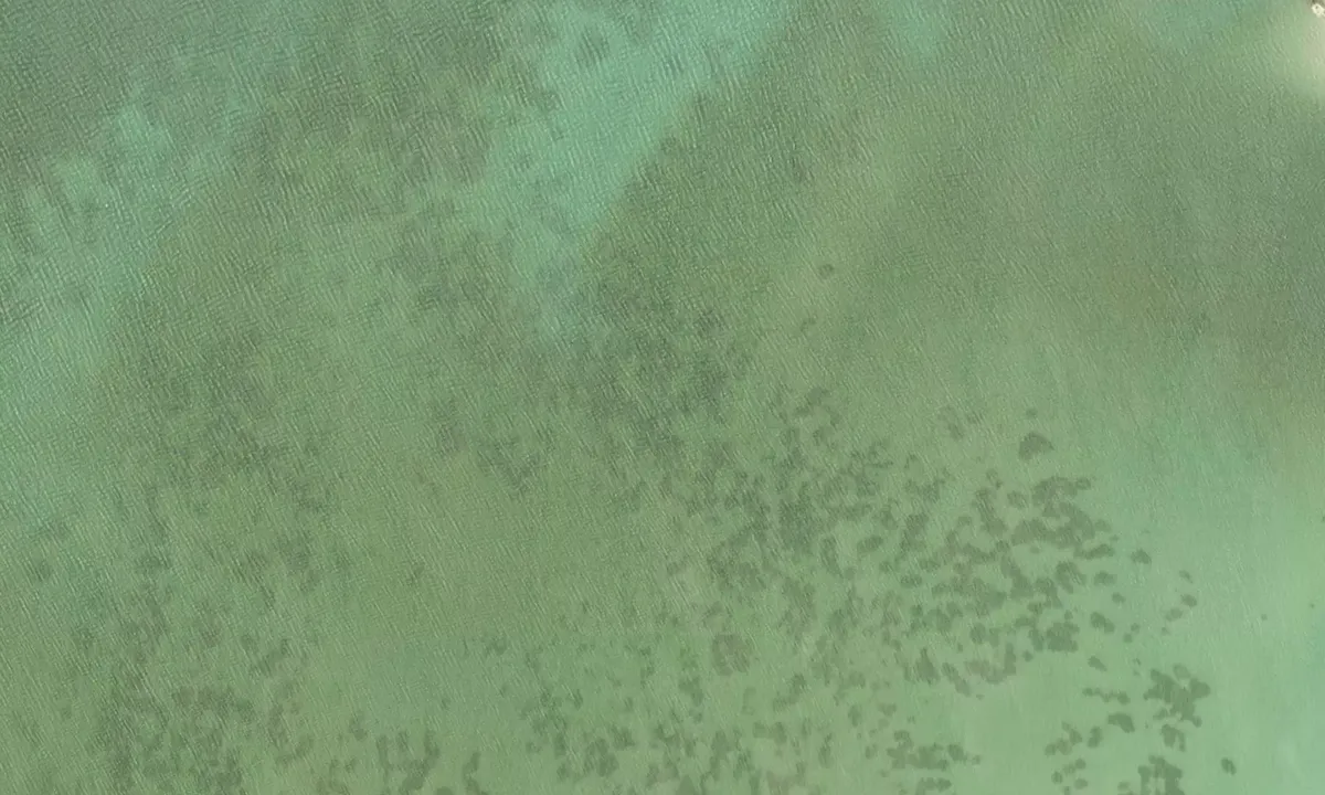 Satelite image of Lagartos Anchorage