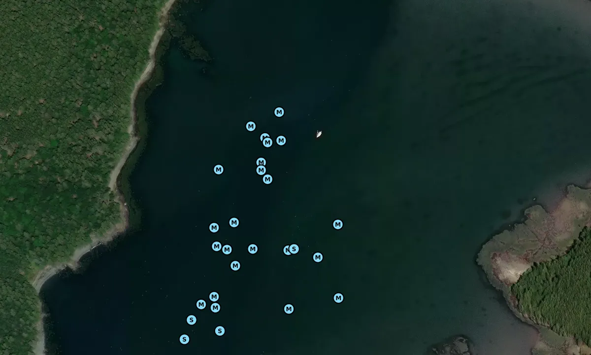 Satelite image of Lakeman Harbor