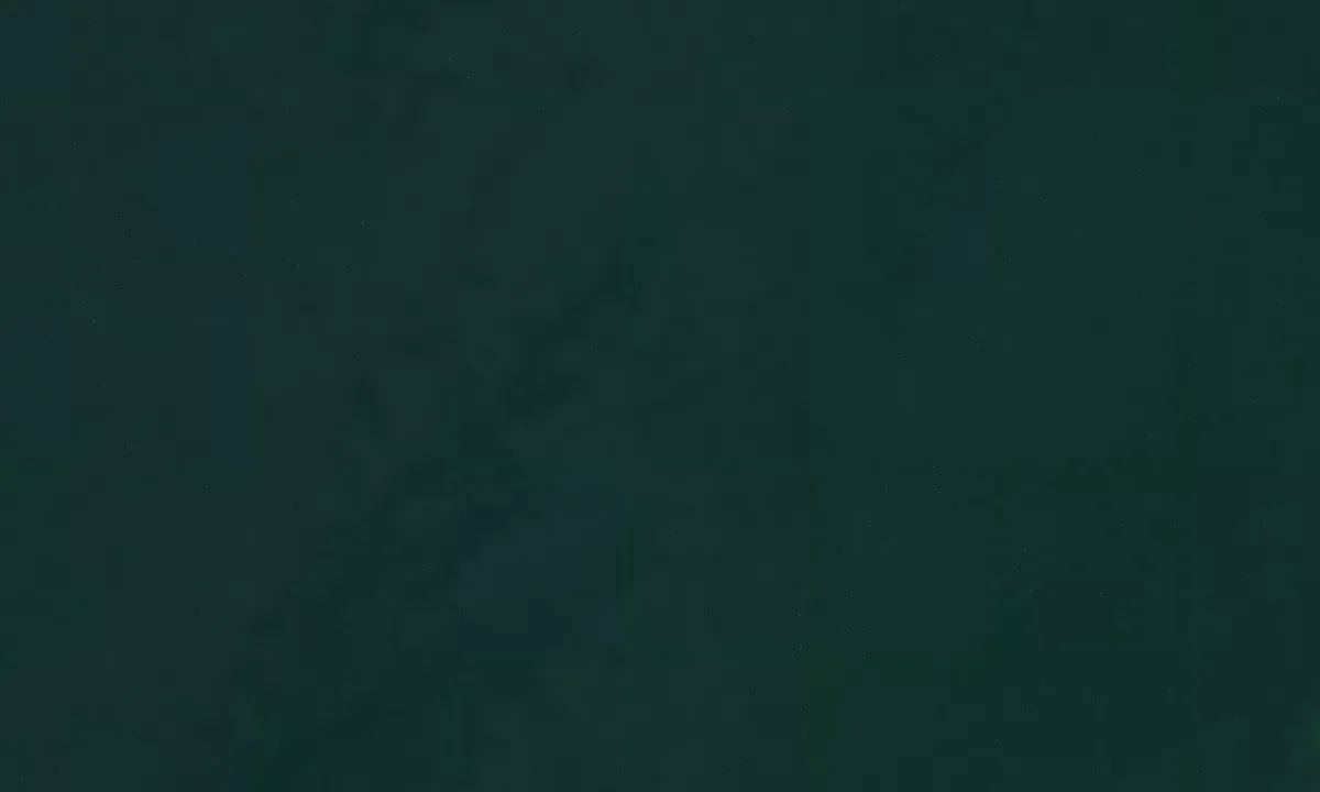 Satelite image of Lambert's Cove