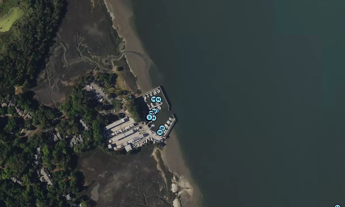 Satelite image of Landings Harbor Marina - Skidaway Island