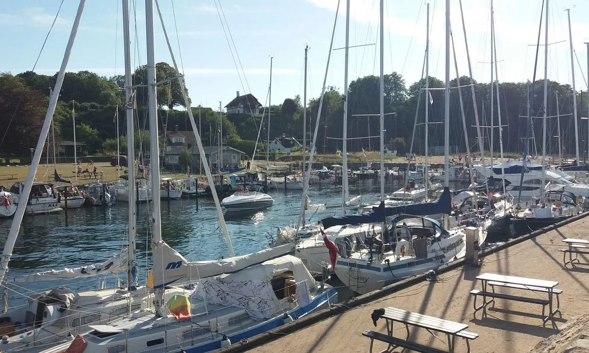 Norreborg Hamn - Ven