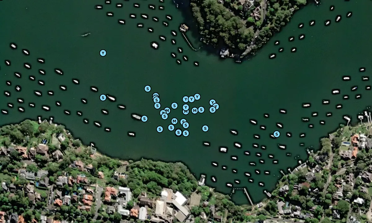 Satelite image of Lane Cove River