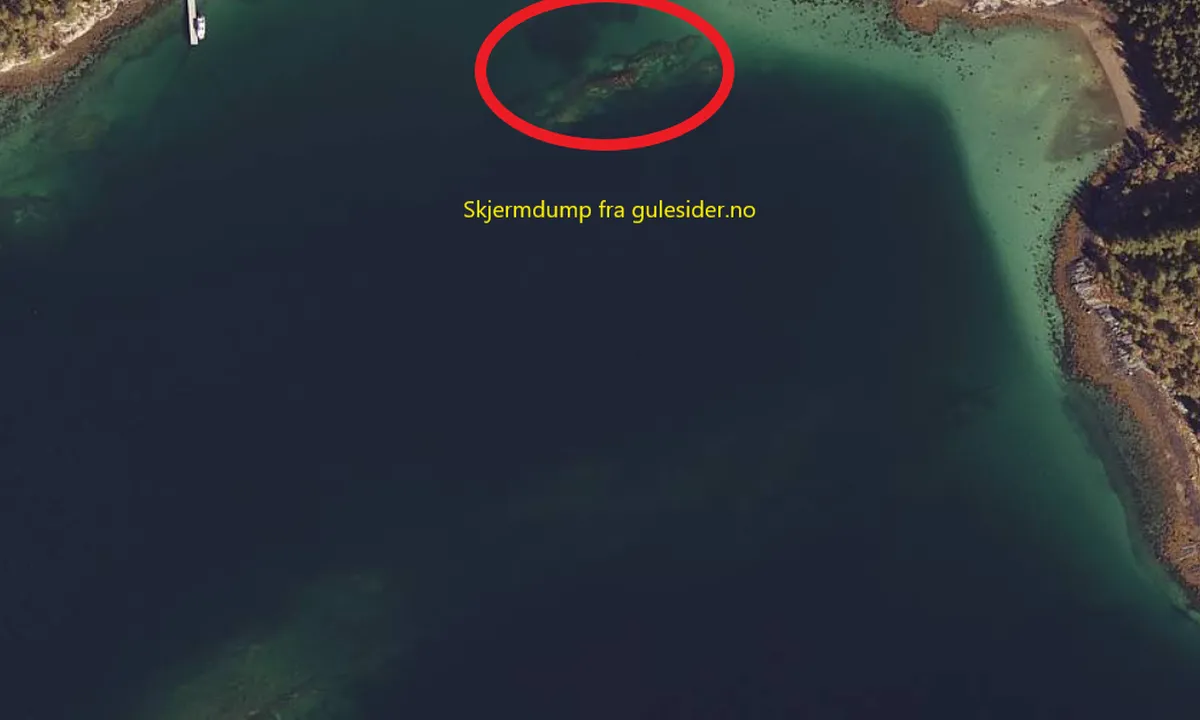 Langbergvika: {"base": "no", "no": "Skvalpeskj\u00e6ret som er innringet vises ikke p\u00e5 sj\u00f8kartet.", "se": "Skvalpsk\u00e4ret som \u00e4r inringat visas inte p\u00e5 sj\u00f6kortet.", "en": "The hidden reef that is circled does not appear on the nautical chart.", "da": "Skvalpesk\u00e6ret som er indkredset vises ikke p\u00e5 s\u00f8kortet."}