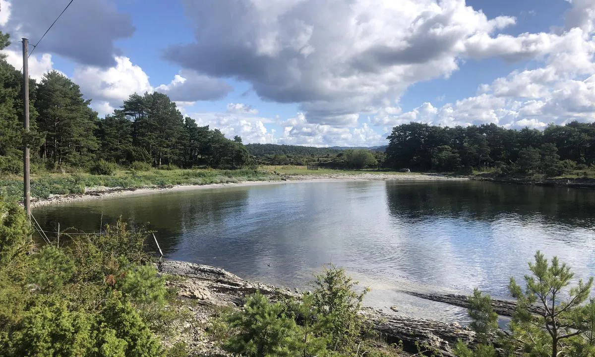 Langesund Gjestehavn, Langøya. : {"base": "no", "no": "Badestrand som vender mot s\u00f8r. Bak tr\u00e6rne til venstre ligger fotballbane og Strand som vender mot nord.", "se": "Badstrand som vetter mot s\u00f6der. Bakom tr\u00e4den till v\u00e4nster ligger fotbollsplan och Strand som vetter mot norr.", "en": "Beach facing south. Behind the trees to the left lies a football field and beach facing north.", "da": "Badestrand som vender mod syd. Bag tr\u00e6erne til venstre ligger fodboldbane og strand som vender mod nord."}