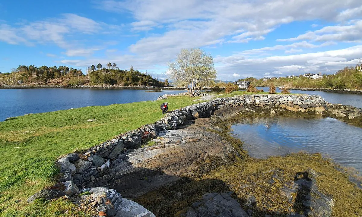 Langevågsholmene Sula: {"base": "no", "no": "Det er bare \u00e5 ta med stolene p\u00e5 land!", "se": "Det \u00e4r bara att ta med stolarna i land!", "en": "Just bring the chairs ashore!", "da": "Det er bare at tage stolene med i land!"}