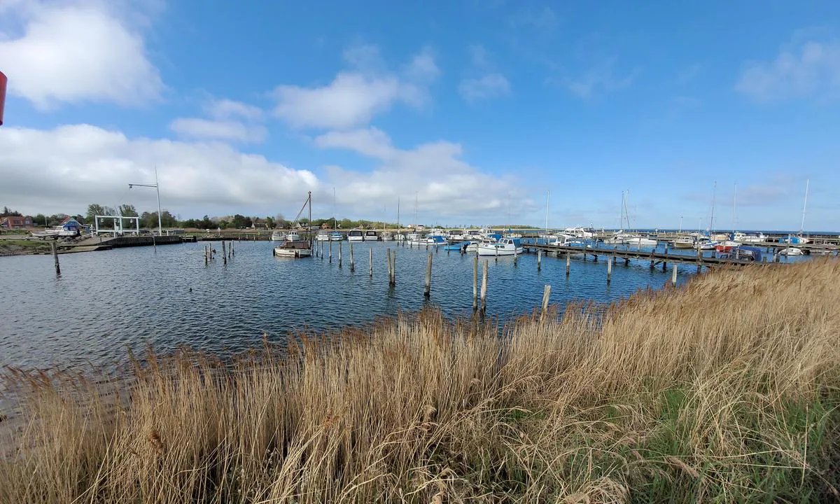 Langø Havn: {"base": "de", "no": "Utsikt fra \u00f8st mot sm\u00e5b\u00e5thavnen.", "se": "Utsikt fr\u00e5n \u00f6ster mot sm\u00e5b\u00e5tshamnen.", "en": "View from the east onto the marina.", "da": "Udsigt fra \u00f8st mod lystb\u00e5dehavnen.", "fr": "Vue de l'est sur le port de plaisance.", "de": "Blick von Osten auf den Sportboothafen.", "es": "Vista desde el este hacia el puerto deportivo.", "it": "Vista da est sul porto turistico.", "pt": "Vista do leste para a marina de esportes aqu\u00e1ticos.", "nl": "Uitzicht vanuit het oosten over de jachthaven.", "pl": "Widok z wschodu na przysta\u0144 jachtow\u0105.", "uk": "\u0412\u0438\u0434 \u0437\u0456 \u0441\u0445\u043e\u0434\u0443 \u043d\u0430 \u0441\u043f\u043e\u0440\u0442\u0438\u0432\u043d\u0443 \u0433\u0430\u0432\u0430\u043d\u044c.", "ro": "Vedere din est asupra portului de agrement.", "tr": "Spor yat liman\u0131na do\u011fudan bak\u0131\u015f.", "el": "\u0398\u03ad\u03b1 \u03b1\u03c0\u03cc \u03b1\u03bd\u03b1\u03c4\u03bf\u03bb\u03b9\u03ba\u03ac \u03c3\u03c4\u03bf \u03bb\u03b9\u03bc\u03ac\u03bd\u03b9 \u03b1\u03b8\u03bb\u03b7\u03c4\u03b9\u03ba\u03ce\u03bd \u03c3\u03ba\u03b1\u03c6\u03ce\u03bd.", "cs": "Pohled z v\u00fdchodu na sportovn\u00ed p\u0159\u00edstav.", "hu": "Kil\u00e1t\u00e1s keletr\u0151l a sportkik\u00f6t\u0151re.", "fi": "N\u00e4k\u00f6ala it\u00e4\u00e4np\u00e4in urheiluvenesatamasta.", "bg": "\u0418\u0437\u0433\u043b\u0435\u0434 \u043e\u0442 \u0438\u0437\u0442\u043e\u043a \u043a\u044a\u043c \u044f\u0445\u0442\u0435\u043d\u043e\u0442\u043e \u043f\u0440\u0438\u0441\u0442\u0430\u043d\u0438\u0449\u0435.", "sr": "Pogled sa istoka na sportsku luku.", "et": "Vaade idast jahtsadamale.", "lv": "Skats no austrumiem uz jahtu ostu.", "lt": "Vaizdas i\u0161 ryt\u0173 \u012f sportini\u0173 laiv\u0173 uost\u0105."}