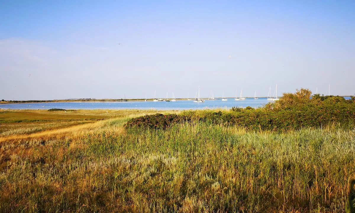 Langør/Stavn Fjord