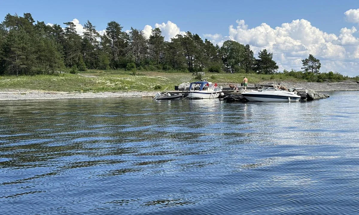Langøya sør/vest