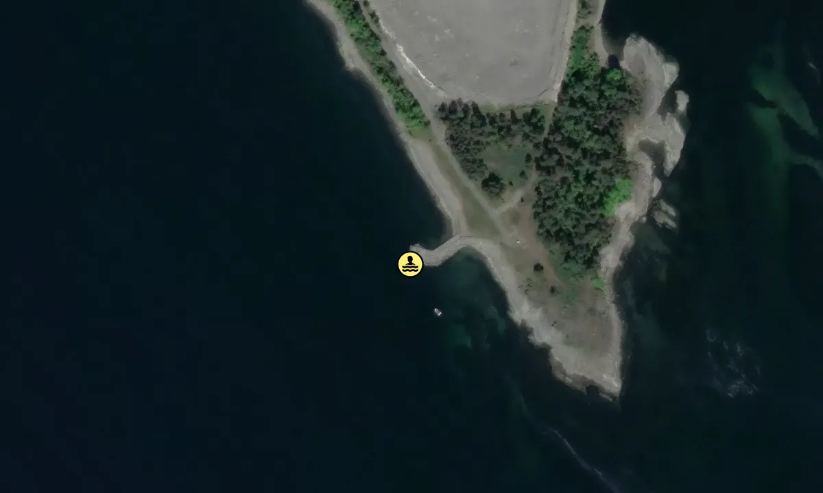 Satelite image of Langøya sør/vest